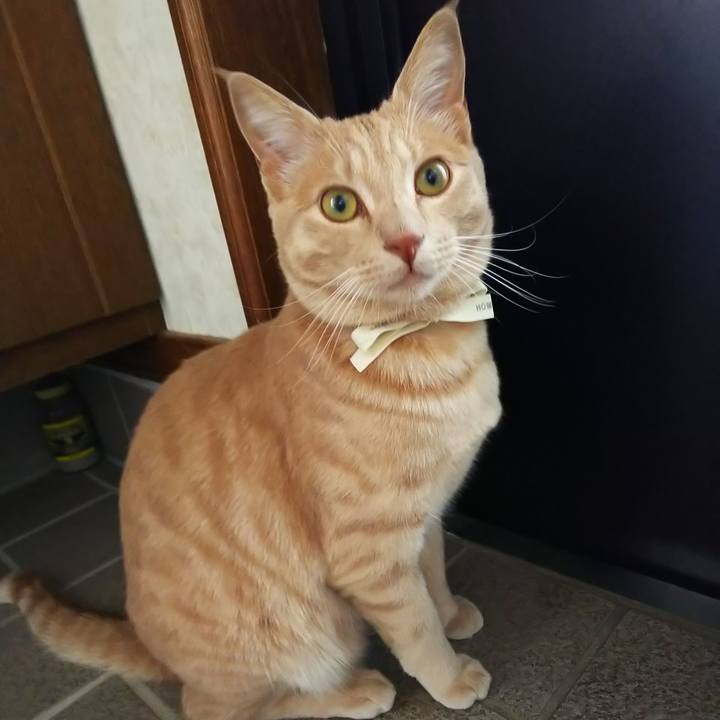 22a36992 aa89 4d94 b61b efeeb7c1dc74 1561015832725