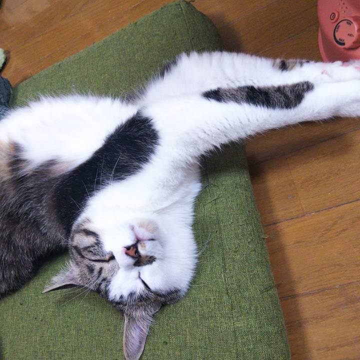 22a3bcc6 a835 4bb1 99c8 42bb55491de4 1648034036095