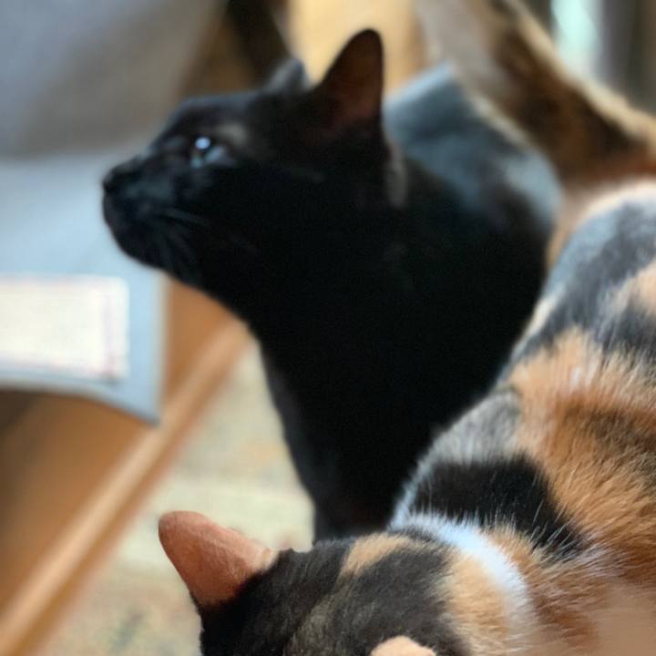 22a3c998 f034 4cc8 9454 a62a636aa341 1564276433478