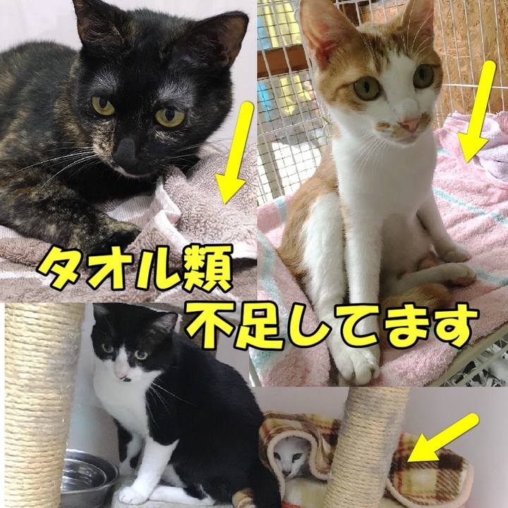 22a3c9aa 048a 415d 804b 9c4bff082f8b 1584603998019