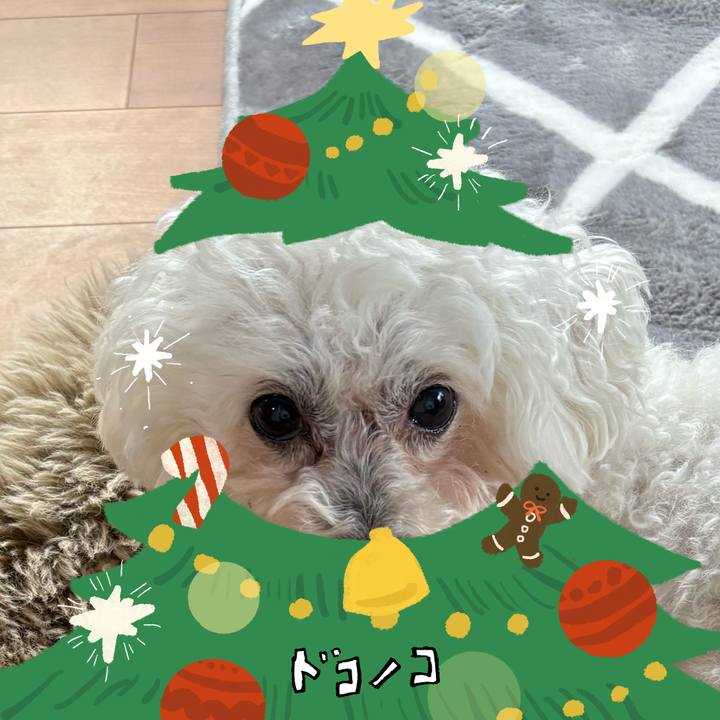 22a3d5c3 850e 4f52 b72c 4275ff3d34aa 1763727678465