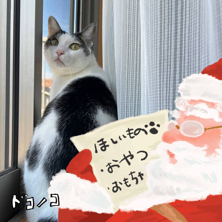 22a3dacd ca66 443a b82e 33208db548c0 1729471122494