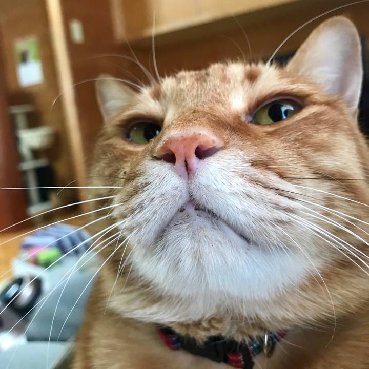 22a3f427 2e39 41f6 8b02 13ed6e69f956 1556336573495