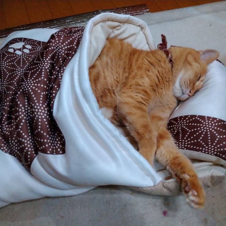 22a403b1 4478 41da b135 21dbd8387572 1621248872572