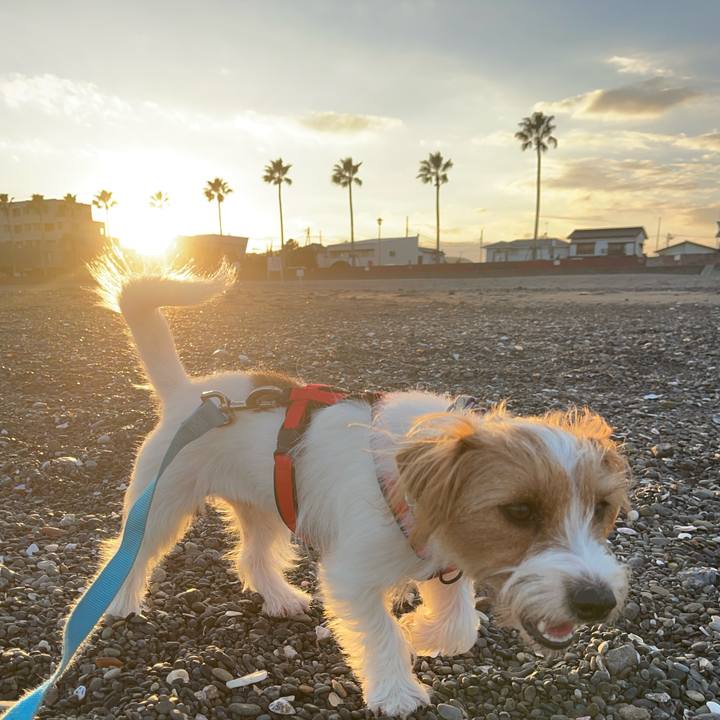 22a42007 7a76 46b1 8047 20882af46b54 1761649750716