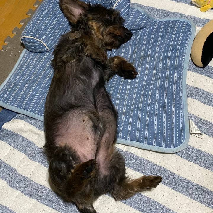 22a43ae9 e0a0 4bf3 b048 142640407103 1596128435933