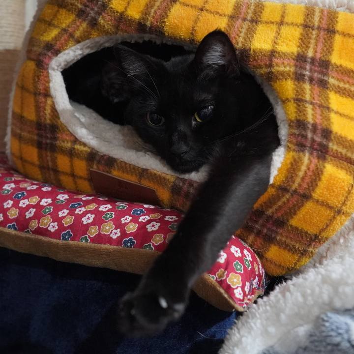 22a441e7 ccca 4729 87f1 d2cf3115f3f9 1612018049472