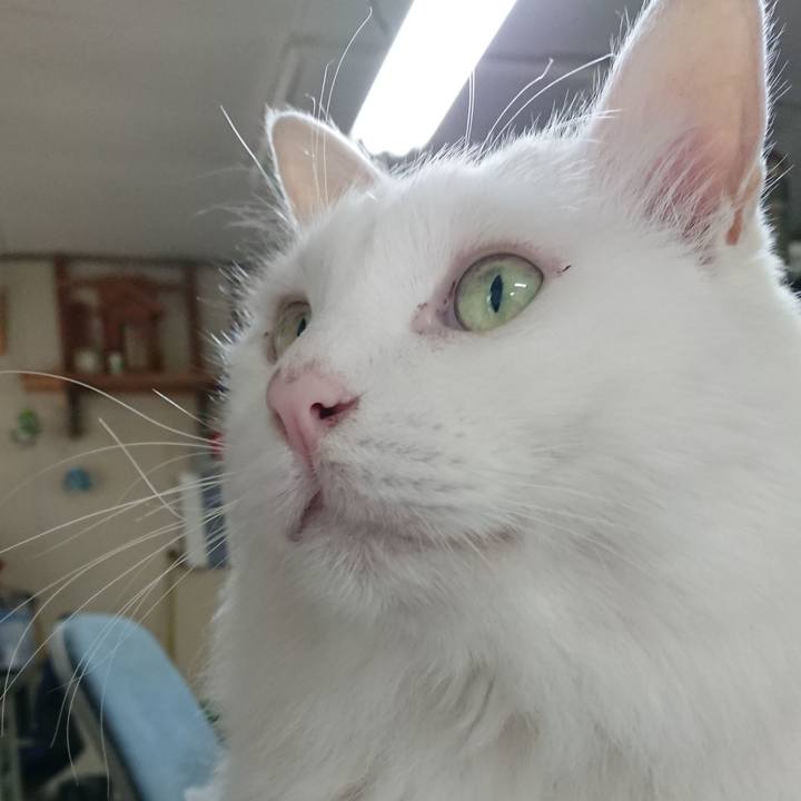 22a499ee 7ba5 4693 8fd0 0c3c1c31db99 1536272823451