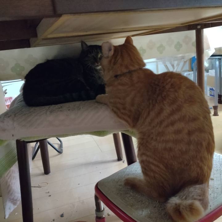 22a4ba85 5f0a 4d36 8edc 79df8fd699bf 1668484015392