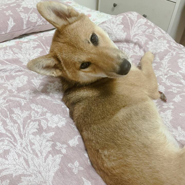 22a4ccf1 d33f 45e2 8087 c842c26340b9 1660874468789