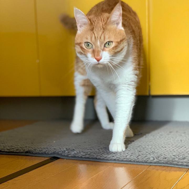 22a4ed65 b266 4400 94f5 3b75ad2cd4ba 1546954254808