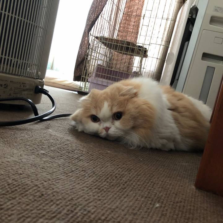 22a559d8 7ca0 4e4a 81e5 f0b34a58df50 1609368769605