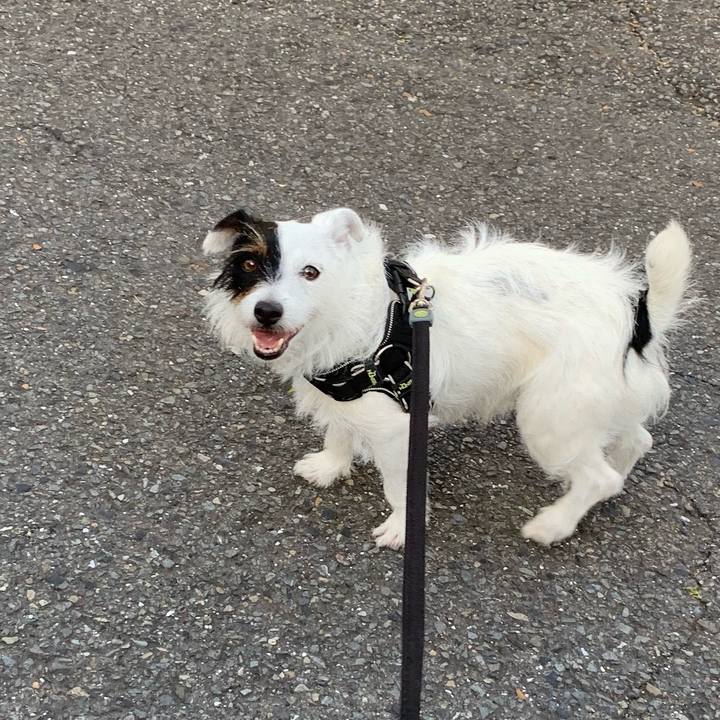 22a57378 0ffc 49f2 8d24 134a2014fe52 1559206954600