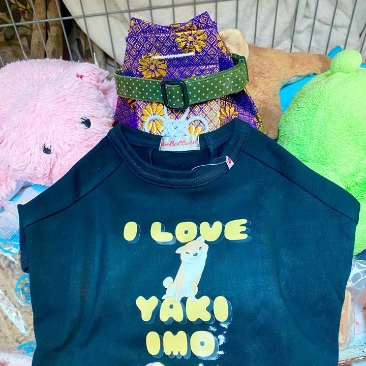 22a5b338 3b21 48f0 8d2c a1c6cd51296e 1671849275547