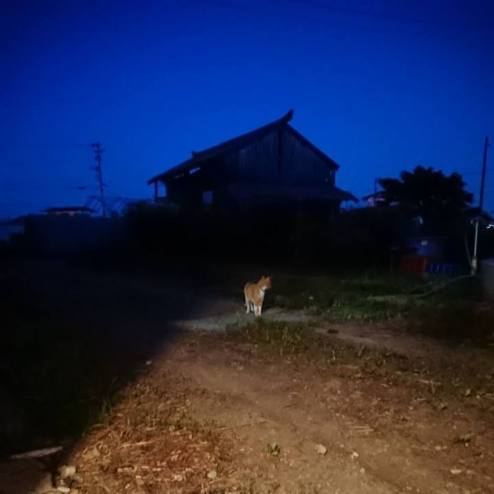 22a5b60f 3303 42a9 a769 8b29db43fd00 1598611963084