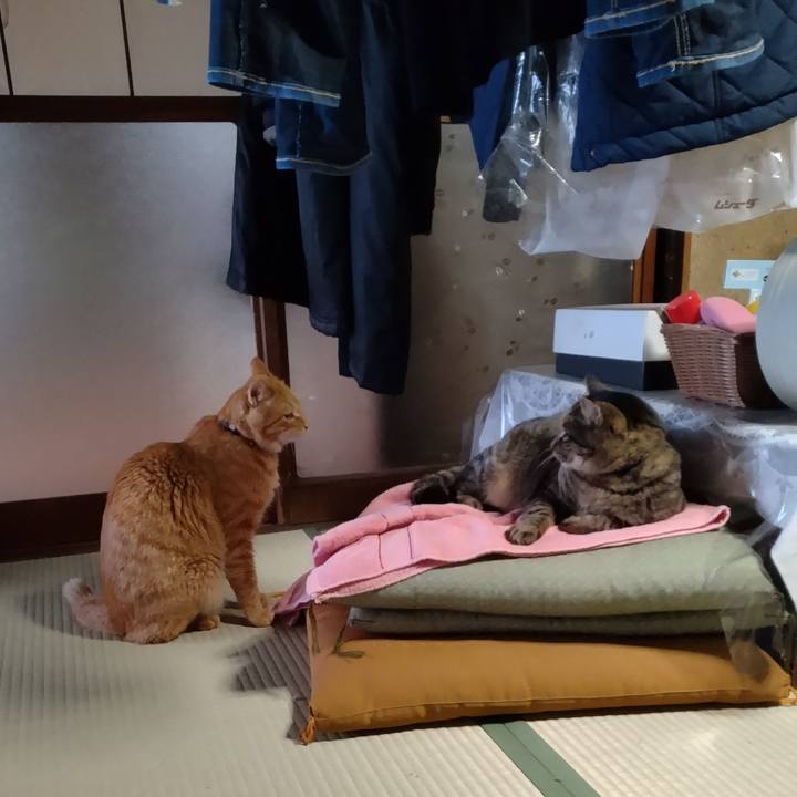 22a5bcf1 b3b9 421a 8565 7b8aac681e44 1674690899706