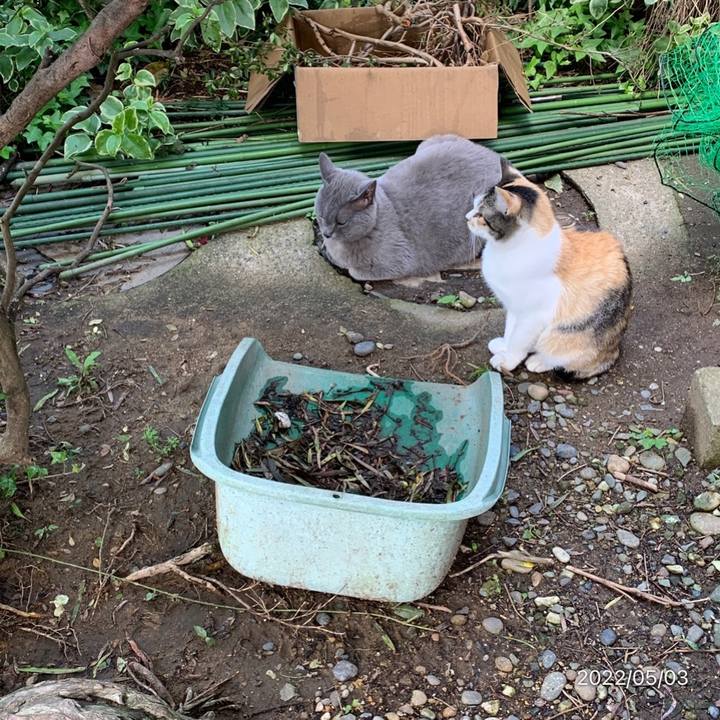 22a5ca1c 6f35 48ab ab4d c1773890940d 1651567469835