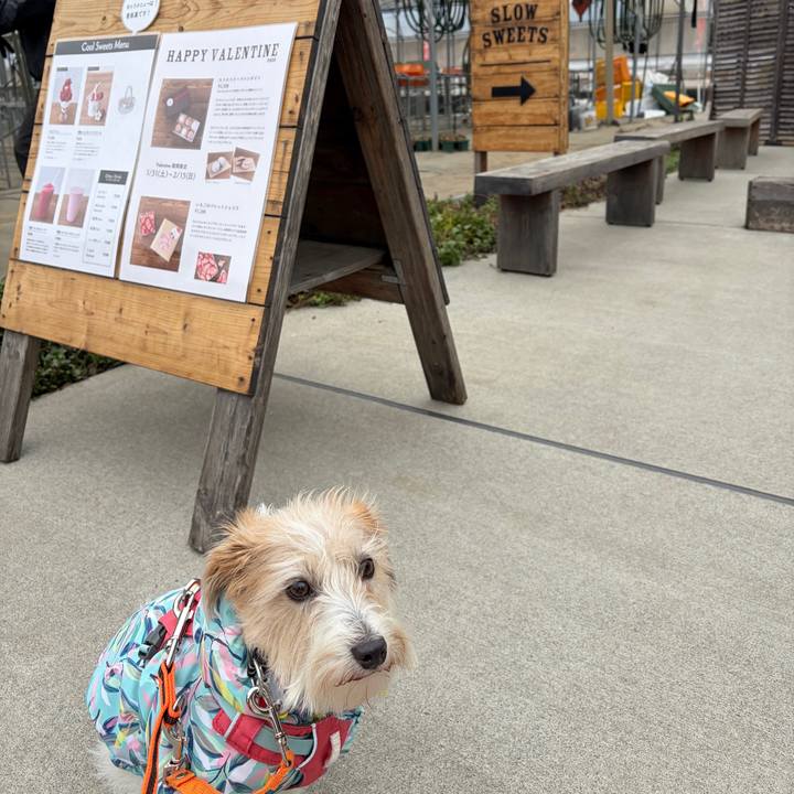 22a5d4a8 8f80 49e7 aa52 e84b8f44d3ea 1770433714654