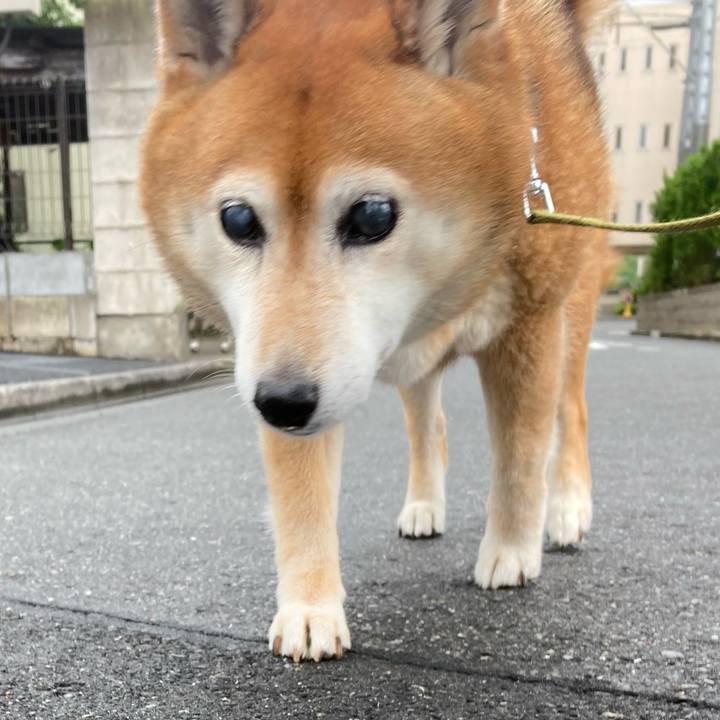 22a61e2b 15eb 4a4e b5e3 18a31e9bdbc5 1684572774988