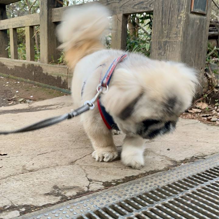 22a64e2d 0f2b 4fe3 84c6 86ba1adba487 1775206751773