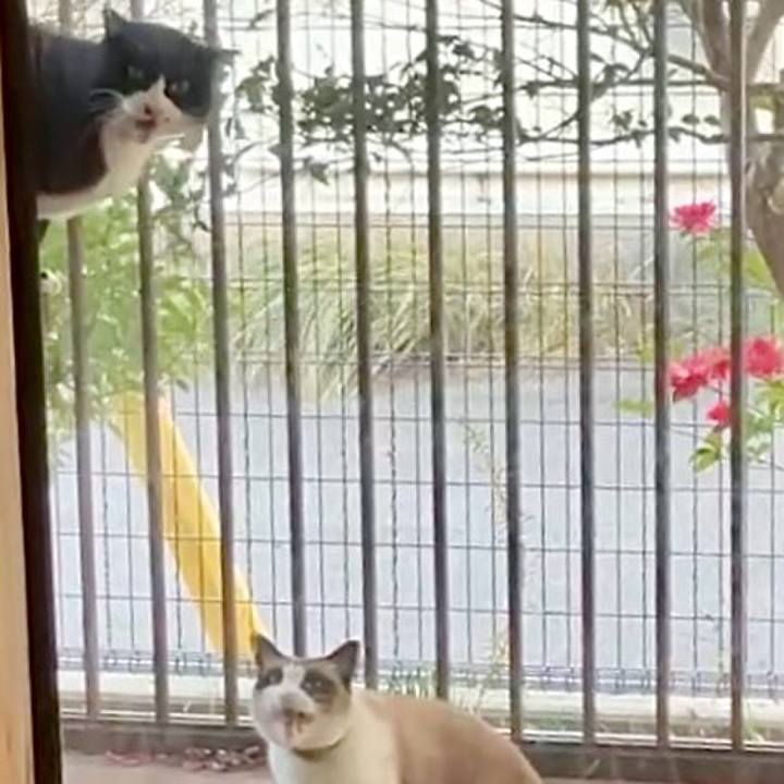 22a651db 94dc 4321 b647 71613f09b457 1737796912525