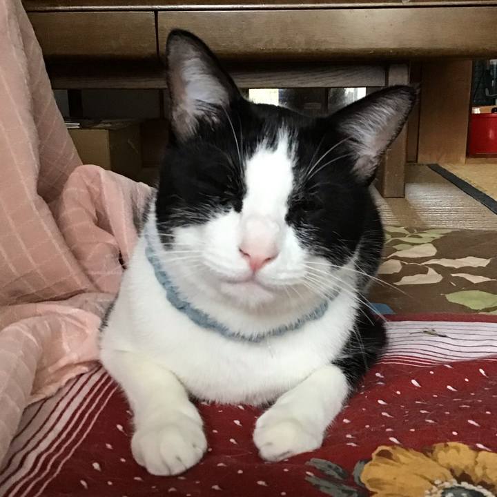 22a68beb 2136 4943 8e18 2b376a0002a2 1663817010254