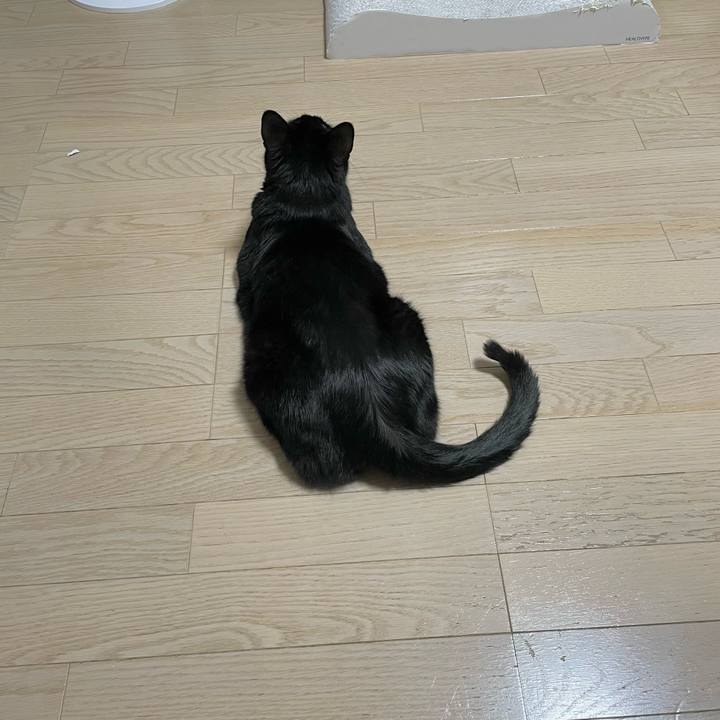 22a68d22 9b8f 4ddb b9c7 ba581d17ddf9 1653827812899