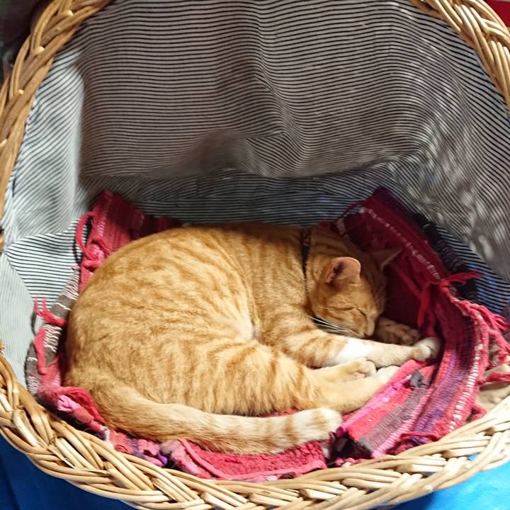 22a6a7dd 3c92 45c7 b1de f4af775970c6 1563437759537