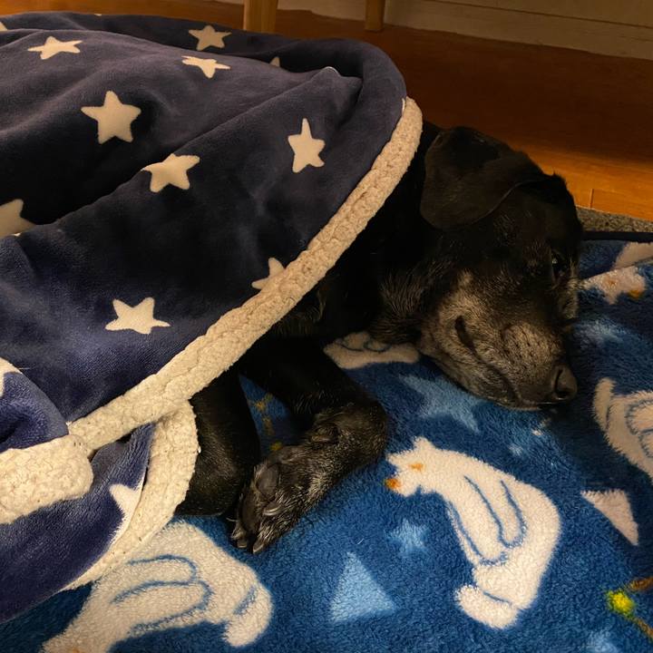 22a6a7ee 60a4 4453 932d 54b590432cc7 1634651656438