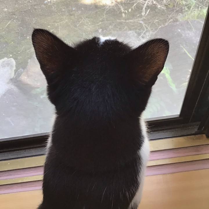 22a6d317 9323 4497 ac72 6c9e62651f1d 1696243142187