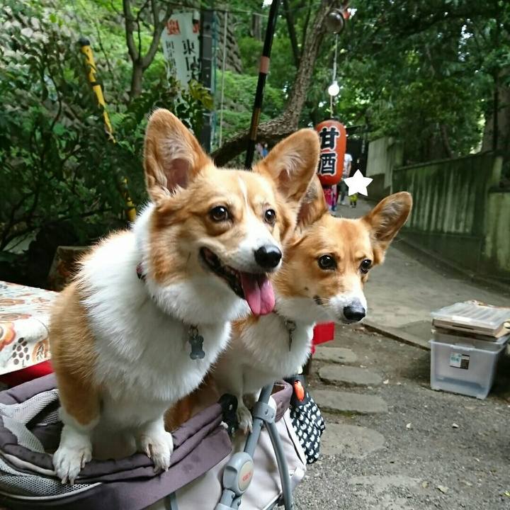 22a6fffb 8724 42d4 a546 58019dec5106 1525248894184