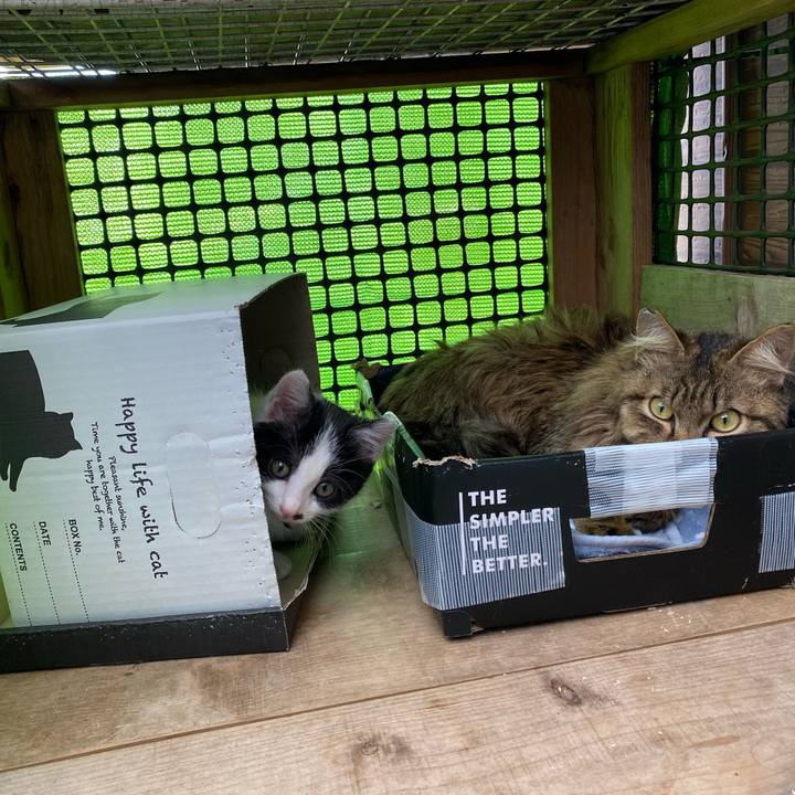 22a70c45 3d3c 425e 8174 fd2f1be710d5 1652764587456