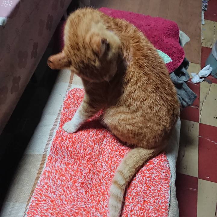 22a7148d 14a9 4ba8 8794 8b021c387a84 1555619961073