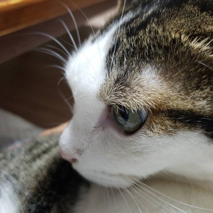 22a725f6 ac83 48d4 9f3a 2f5bf01414e8 1568286856511