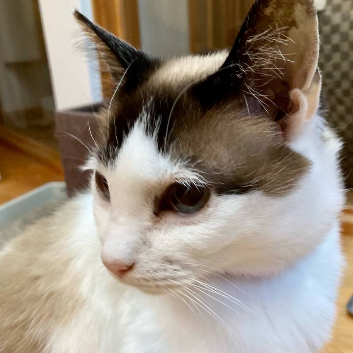 22a72c42 6f24 4947 837b 9a1386d75d0d 1648646010211