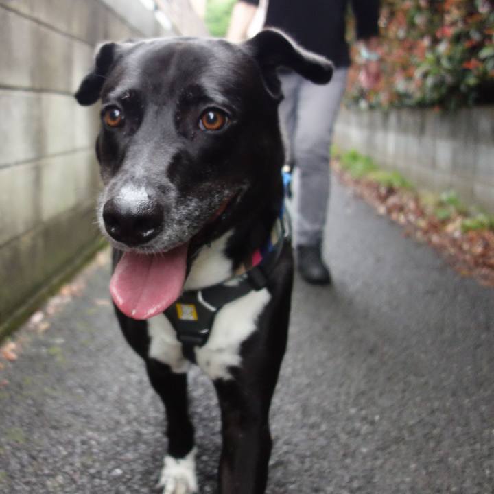 22a73465 6201 446a b2eb 18e69af97806 1654910713039