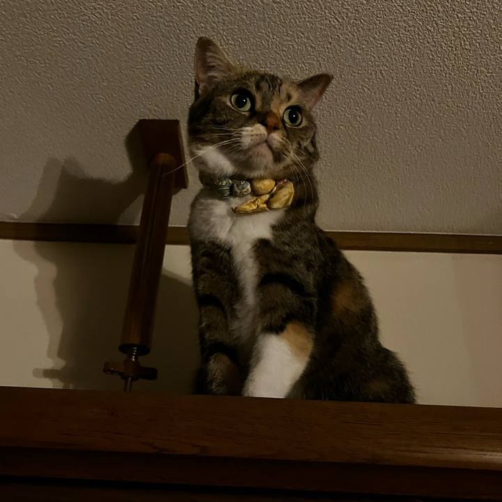 22a74edf c98d 4ab2 8065 dbd78e072724 1774423098502