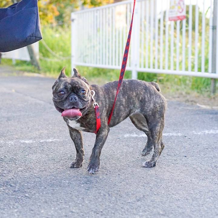 22a77deb a379 4ca5 aa88 b7952360de66 1568967797576