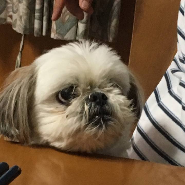 22a78e5b 5d71 47f8 80a2 a21dcf80d54e 1558611543370