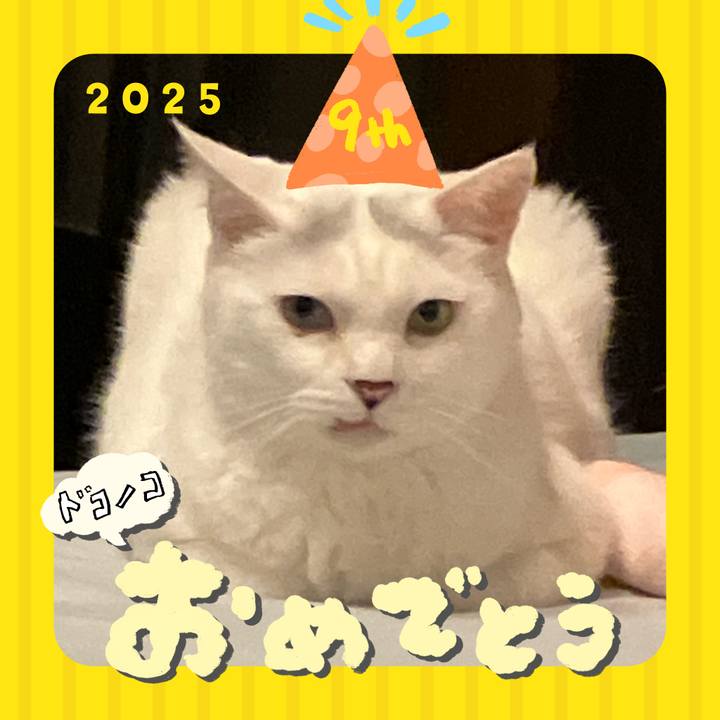 22a7a88d b6bb 47b5 8eb9 5f582abc7a2f 1749252448853