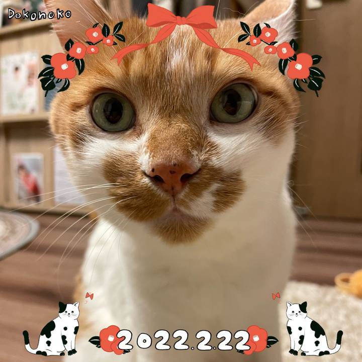 22a7d54f 96d8 487c b600 502b0953dadb 1645533019343