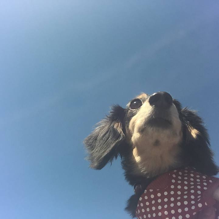 22a7e9c8 2d6e 4c51 8bb7 db2c8fc53e3a 1527122494166