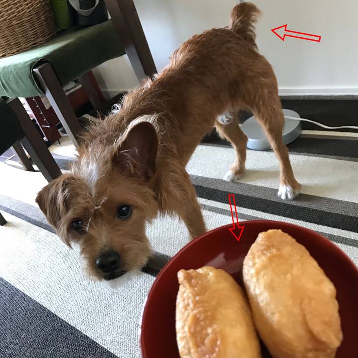 22a7fc09 7993 4826 a412 3546130c0702 1537325123229