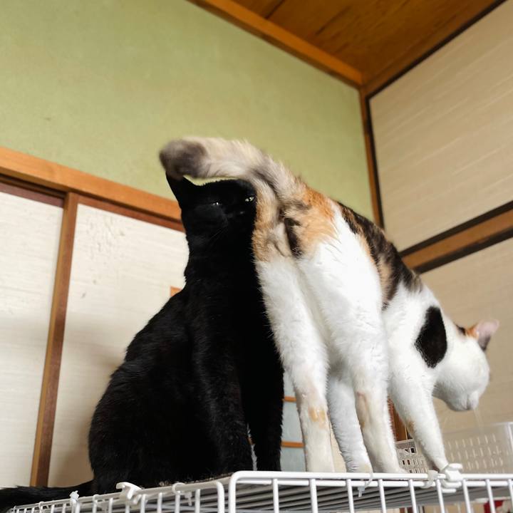 22a80ea9 4c12 4d9e a8a0 eb5161bde2c6 1660528585568