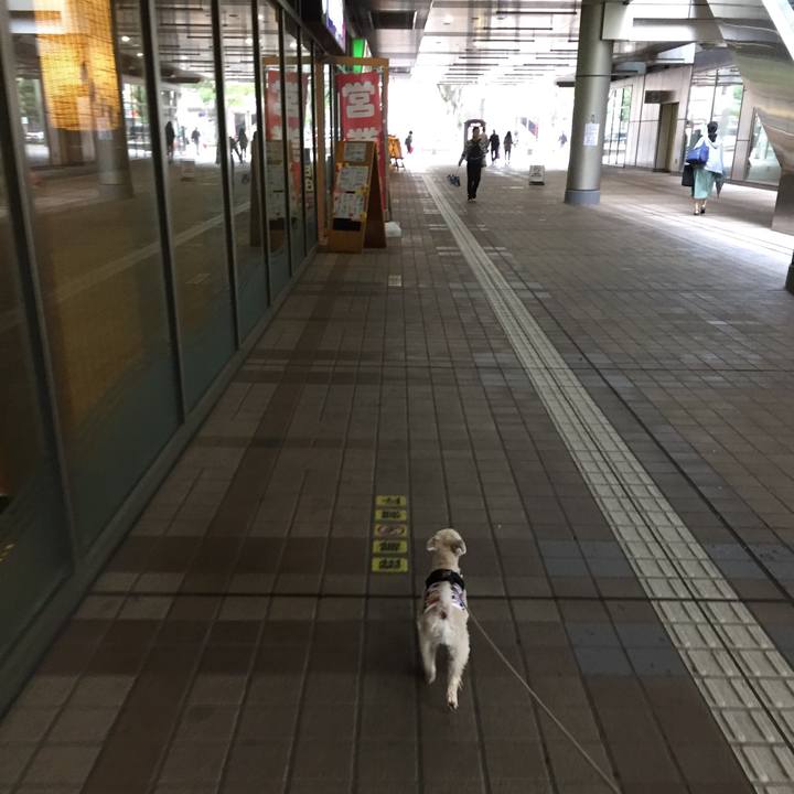 22a87a75 11e0 4bff 920f b6c08172da09 1538207845720