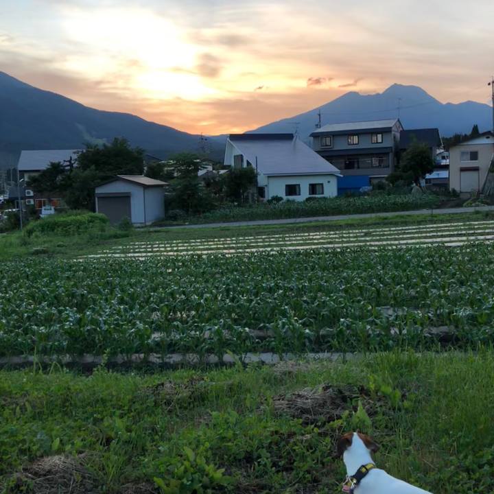 22a8811f e908 4ef9 b1d8 f29e63cd633d 1530448873892