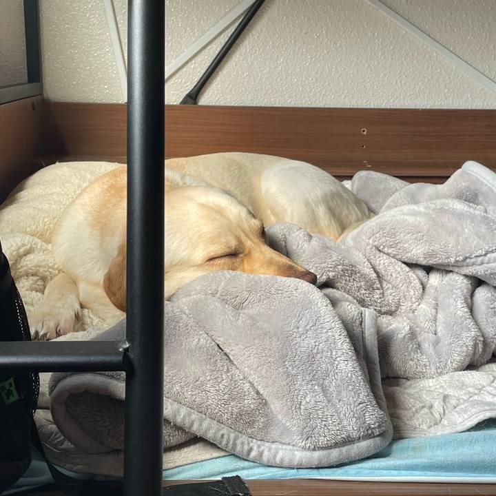 22a89665 a5ca 44c9 ac29 c9fca19ccc96 1654755186355