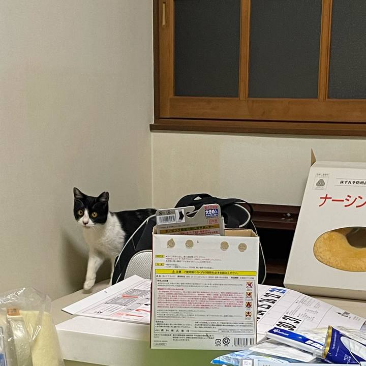 22a89da7 bac4 48cc b912 ba8aa6887de7 1677688102141