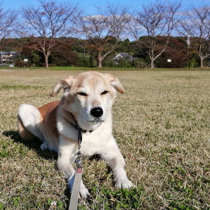 22a8cdda 8eee 4922 a64c 17f874737dcc 1605072685706