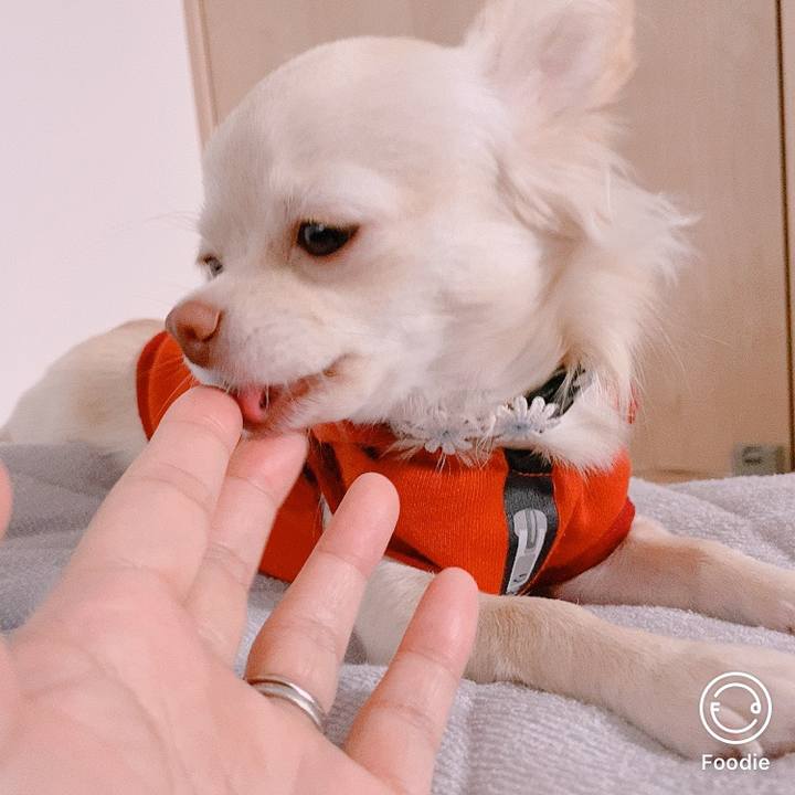 22a9128a 8b14 4ec6 9738 1a55ea7fca57 1605758867817